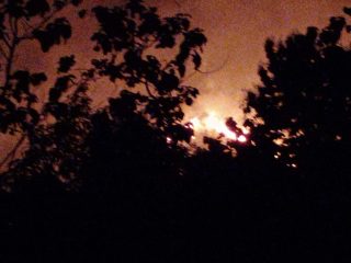 Lahan seluas 50 Ha di Puriala Dilalap Si Jago Merah