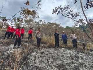 Kebakaran hutan dan lahan
