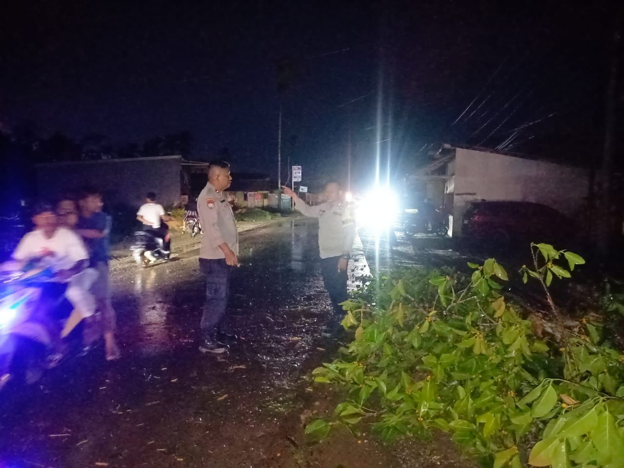 Musibah angin kencang menumbangkan pohon beringin di Morosi
