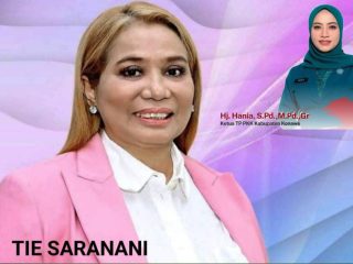 Tie Saranani Tuding Istri Bupati Konawe Abaikan Etika Guru dan Jabatan Publik