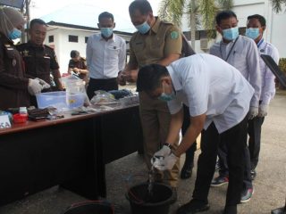 Didominasi Kasus Narkoba, Kejari Konawe Musnahkan Barang Bukti 41 Perkara