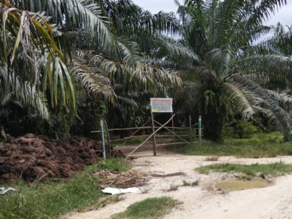 Tuntutan Tak Temui Titik Terang, Kebun Sawit Disegel