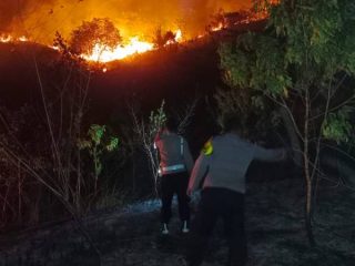 Hutan Watumohai Terbakar, Warga dan Petugas Kompak Padamkan Api