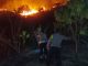 Hutan Watumohai Terbakar, Warga dan Petugas Kompak Padamkan Api
