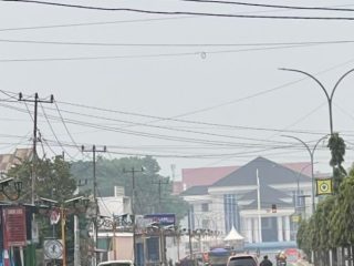 Kabut Asap di Konawe, Dinkes Antisipasi ISPA